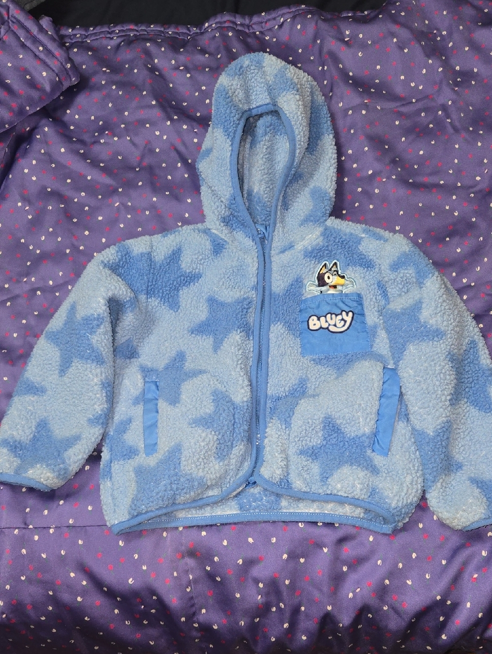 Blue Blustery Plush Hooded Jacket with Character Patch